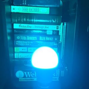 LED Light bulb **with remote**